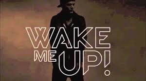 Avicii “Wake Me Up” Is it House or Bluegrass?
