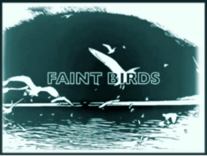 Badlands Shares Single + Video “Faint Birds” | New Album Nobody Dies  Out October 10 via RITE