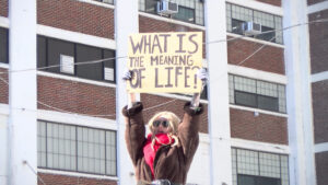 Meg Elsier Reveals New Single “meaning of life”