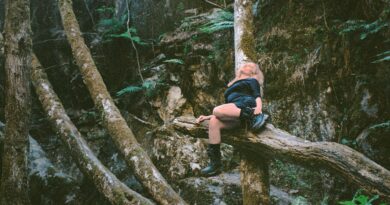 Photos by Harry Hibbert