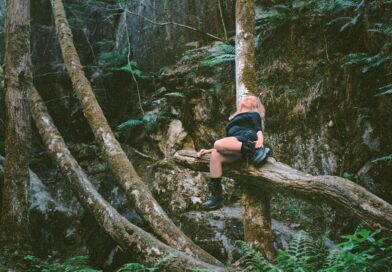 Photos by Harry Hibbert