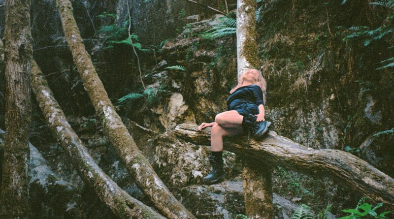 Photos by Harry Hibbert