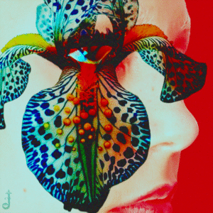 JULITH Finds Power in Truth on Debut EP ‘This is a Kindess”